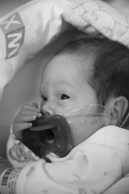 Holding My Passy