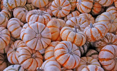 Carnival Pumpkins