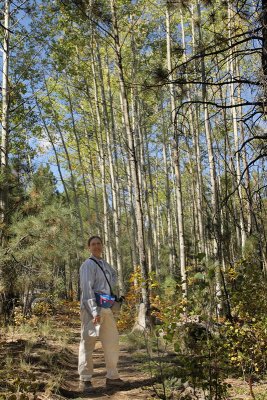 Laurie in the Aspens (8363)