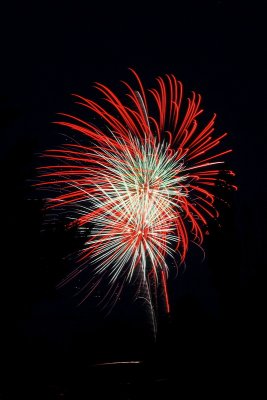 Fireworks 8689