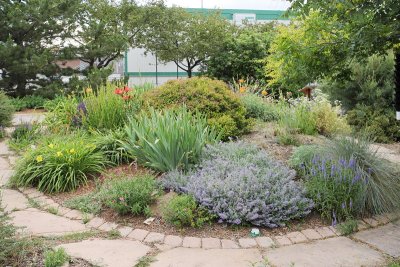 Perennial Garden (8823)