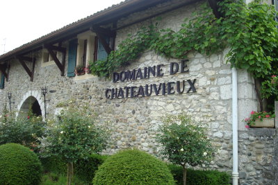 Barcelona Vineyard.JPG