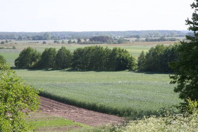 Slowinski landscape