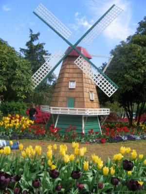 Tulip Festival in Monbulk Australia