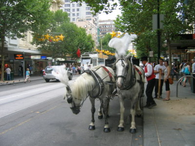 Tourist attraction in Melbourne, horse carriges