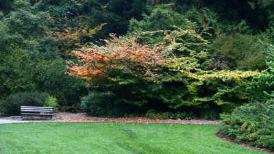 Arboretum 004.jpg