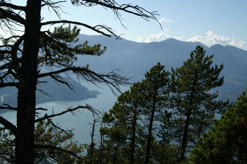 Hiking on the Chief