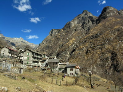codera