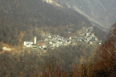 codera