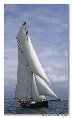 Voiles d'antibes 2008