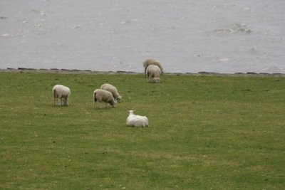 Deutsche Nordsee