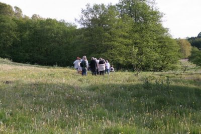 Orkide tur med A.G.S. Randers 2008