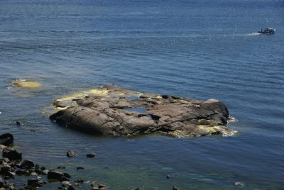s32.jpg
