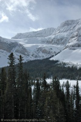 Crowfoot Glacier