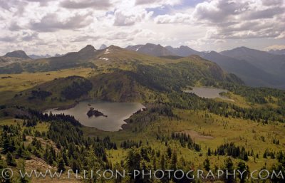 Sunshine Meadows