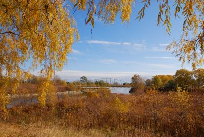 Mimico Creek Estuary and Wetland