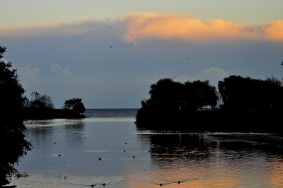 The Mimico Creek Estuary at Evening