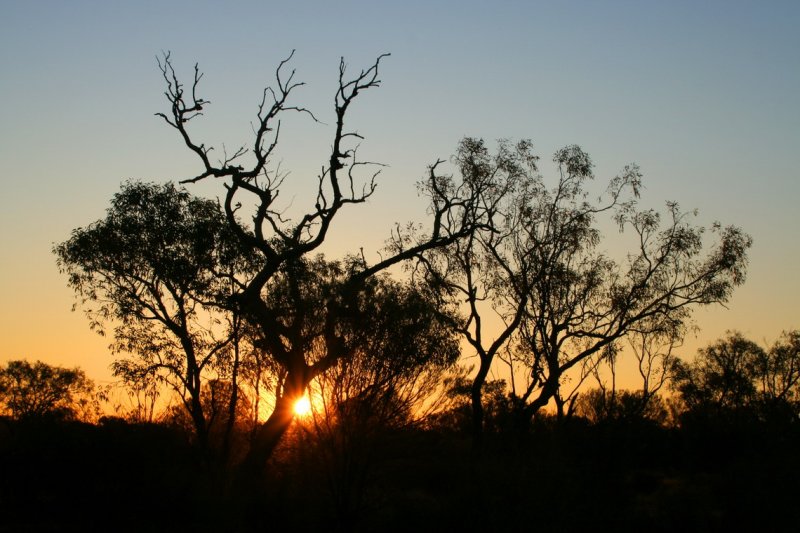 Sunset at Uluru