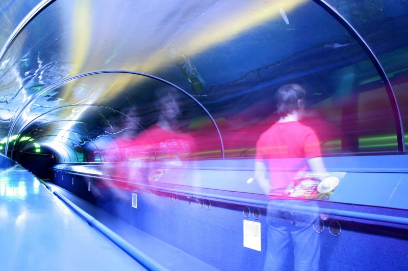 Self Portrait at the Seal Tunnel of Sydney Aquarium