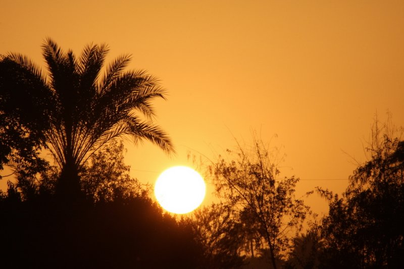 Sundown over the Banks of River Nile, Luxor (Egypt)