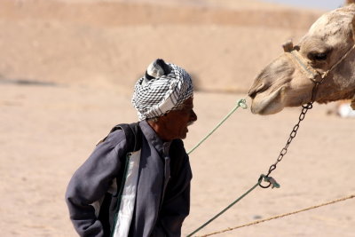Cameleer, face to face with his animal, Hurghada (Egypt)