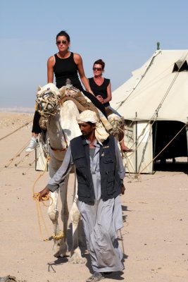 Cameleer, guiding two tourists, Hurghada (Egypt)