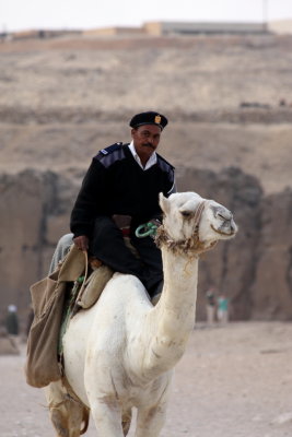 Policeman on Camel, Cheops Pyramid, Gizeh (Egypt)