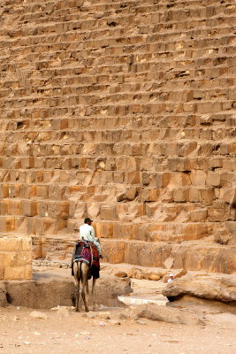 Camel Rider afront Cheops Pyramid, Gizeh