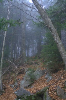 Passaconaway