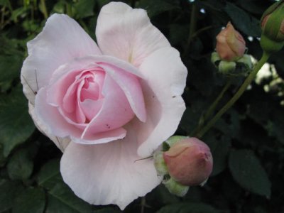 g5/22/934122/3/118650676.kriLwBbR.jpg