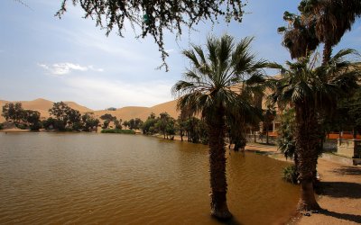 Huacachina oasis