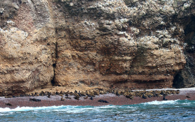 Maternity beach, Ballestas Islands