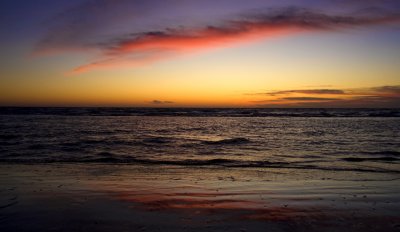 Early color at Elmer's island