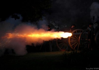 Independence Day 2008
