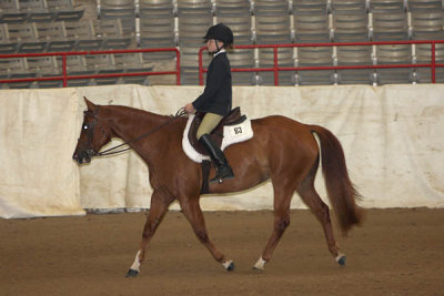 IMG_2253 copy.jpg