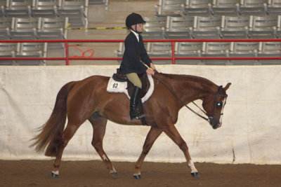 IMG_2265 copy.jpg
