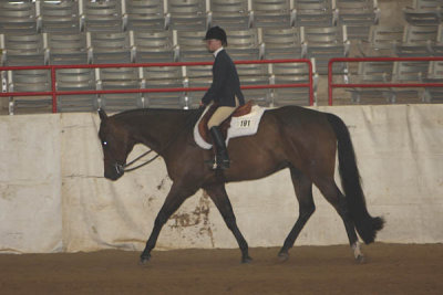 IMG_2287 copy.jpg