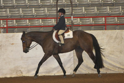 IMG_2301 copy.jpg