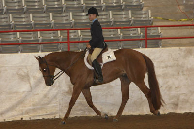 IMG_2334 copy.jpg