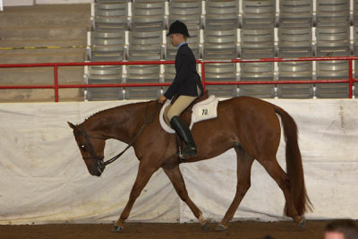 IMG_2336 copy.jpg