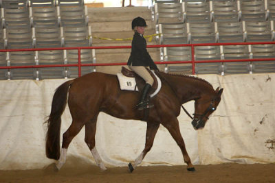 IMG_2413 copy.jpg