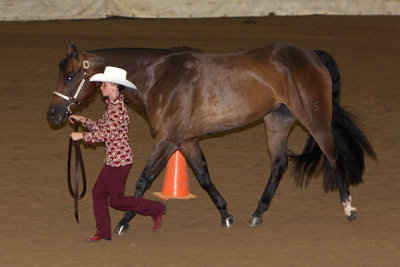 IMG_2438 copy.jpg