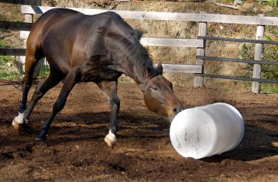 The Art of Barrel-rolling.