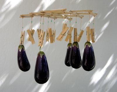Egg-plants