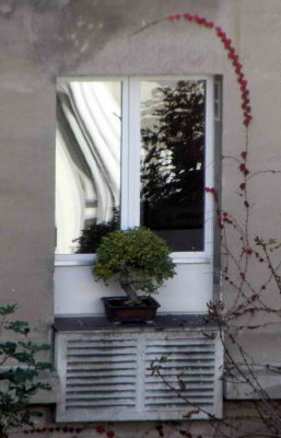Une fenêtre de la rue Erlanger (XVIème)