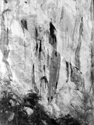 Bunny dans El Capitan