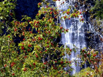 Cascade d'Isabe (1600 m)