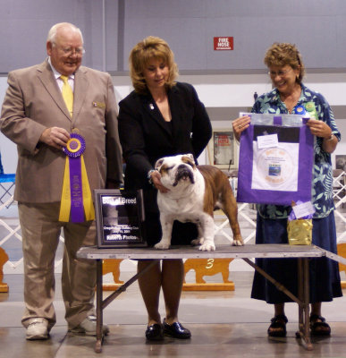 Best of Breed #120 Oregon State Bulldog Club, Best in Specialty Show 07/18/2008
