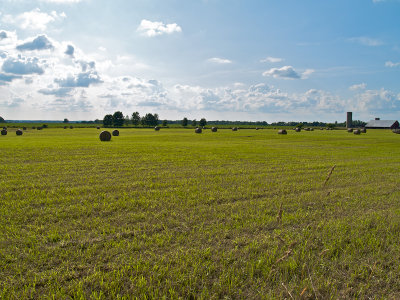 Davisburg farmland