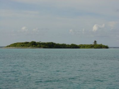 BEL055.jpg